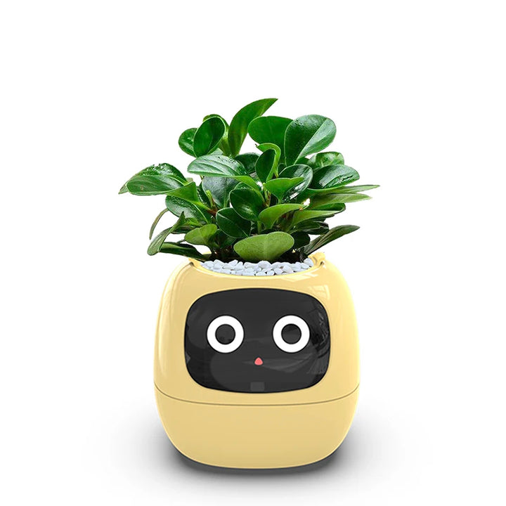 Smart Interactive Flower Pot with Plant Monitoring